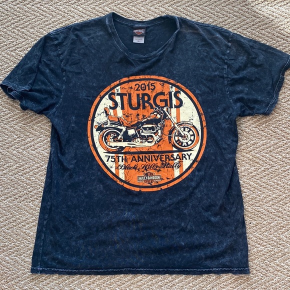 EUC Vintage Style 2015 Harley Davidson T-shirt - Picture 1 of 5